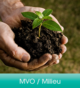 mvo